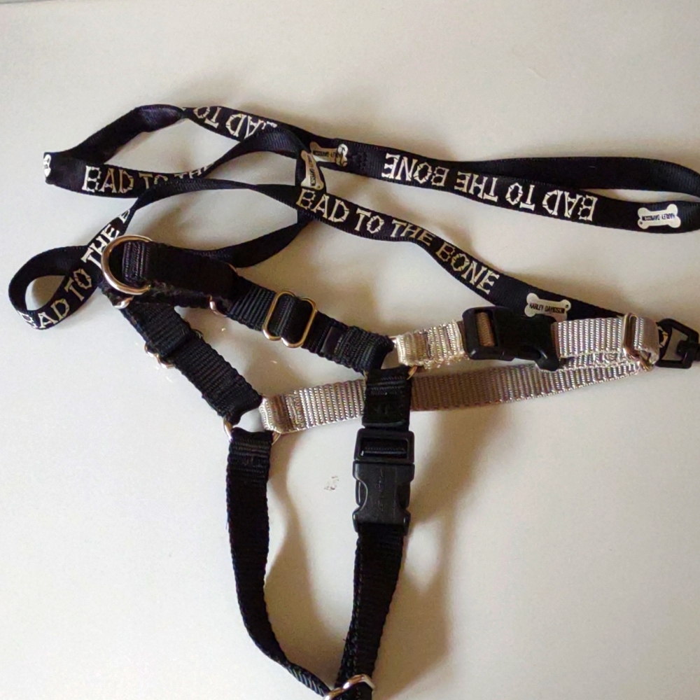 Harley Davidson small/medium dog leash and Easy Walk harness size medium